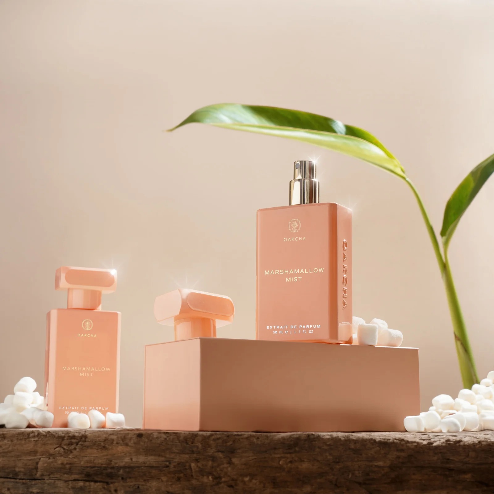 Oakcha Extrait De Parfum 50ml  - Perfume Top Fragrance บทวิจารณ์และราคา