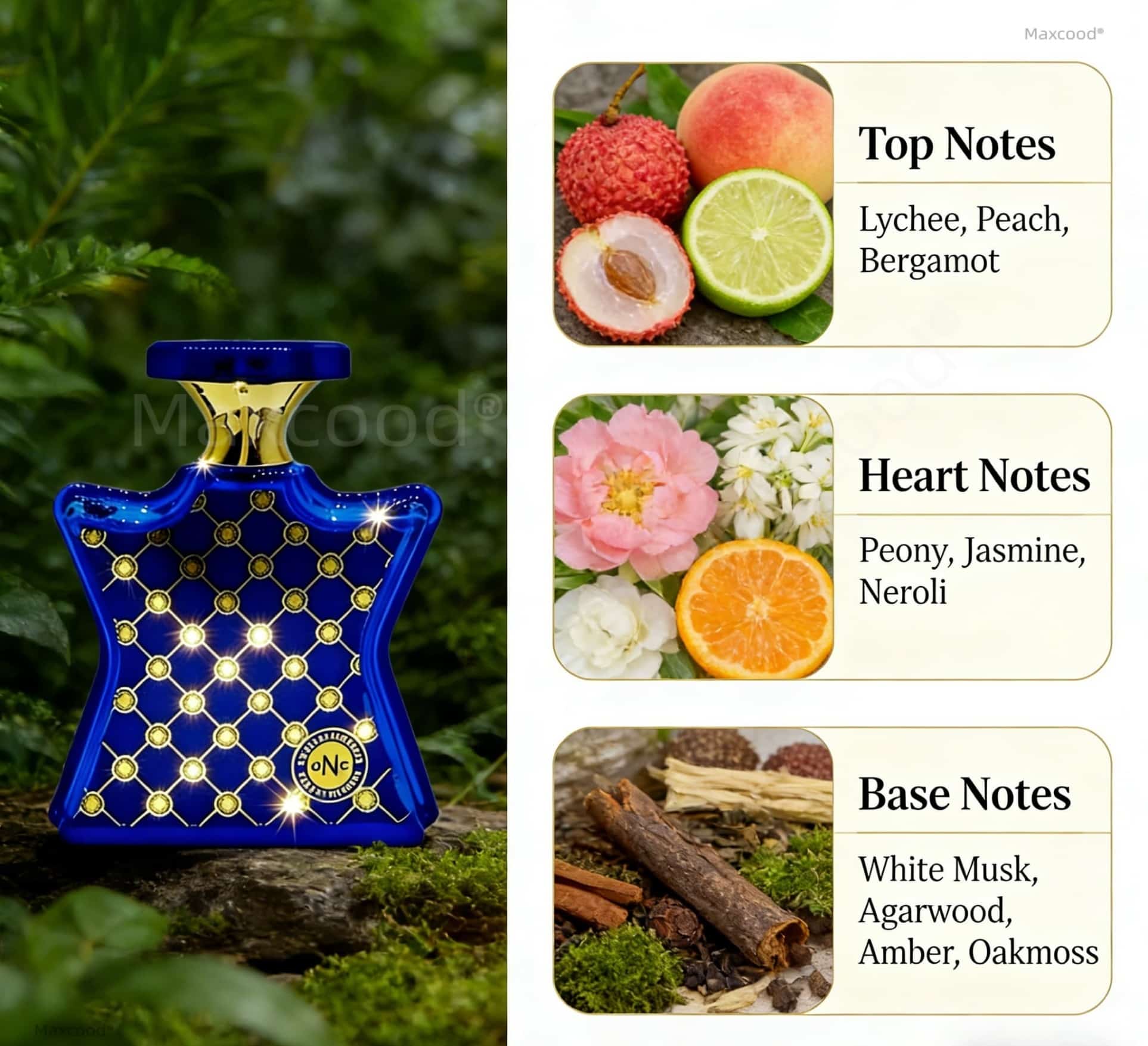 Citrus and floral Perfume Long - Perfume Floral Fragrance บทวิจารณ์และราคา