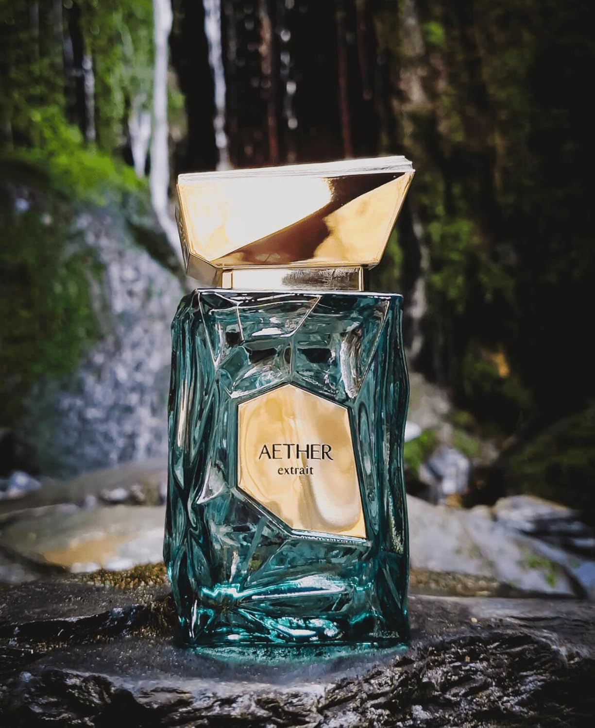 Fragrance World French Avenue  - Perfume Is Fragrance World บทวิจารณ์และราคา