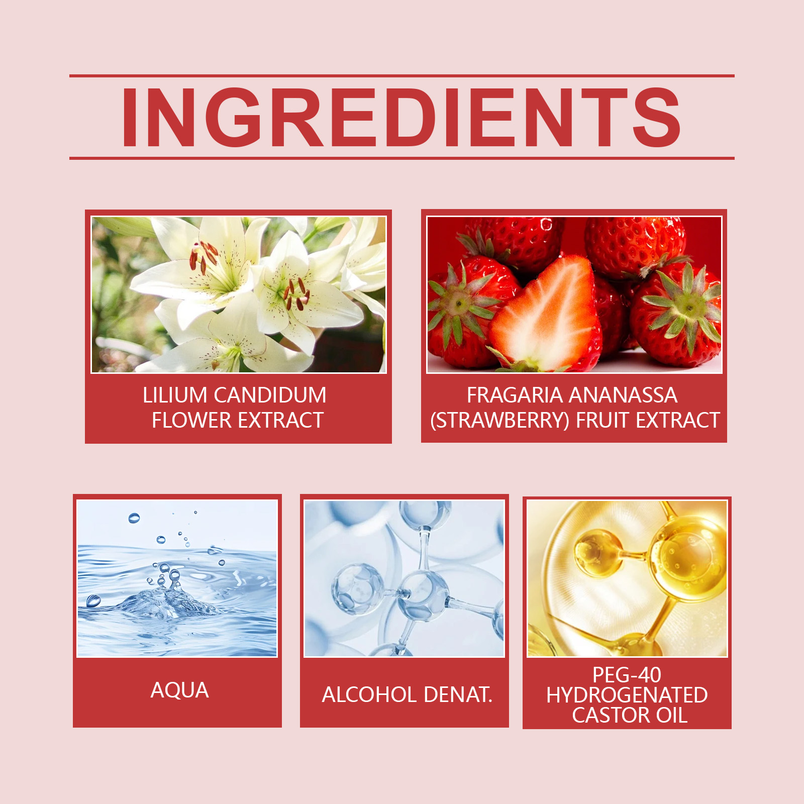 Roxelis Rose Lily Charm Perfum - Perfume Top Fragrance บทวิจารณ์และราคา