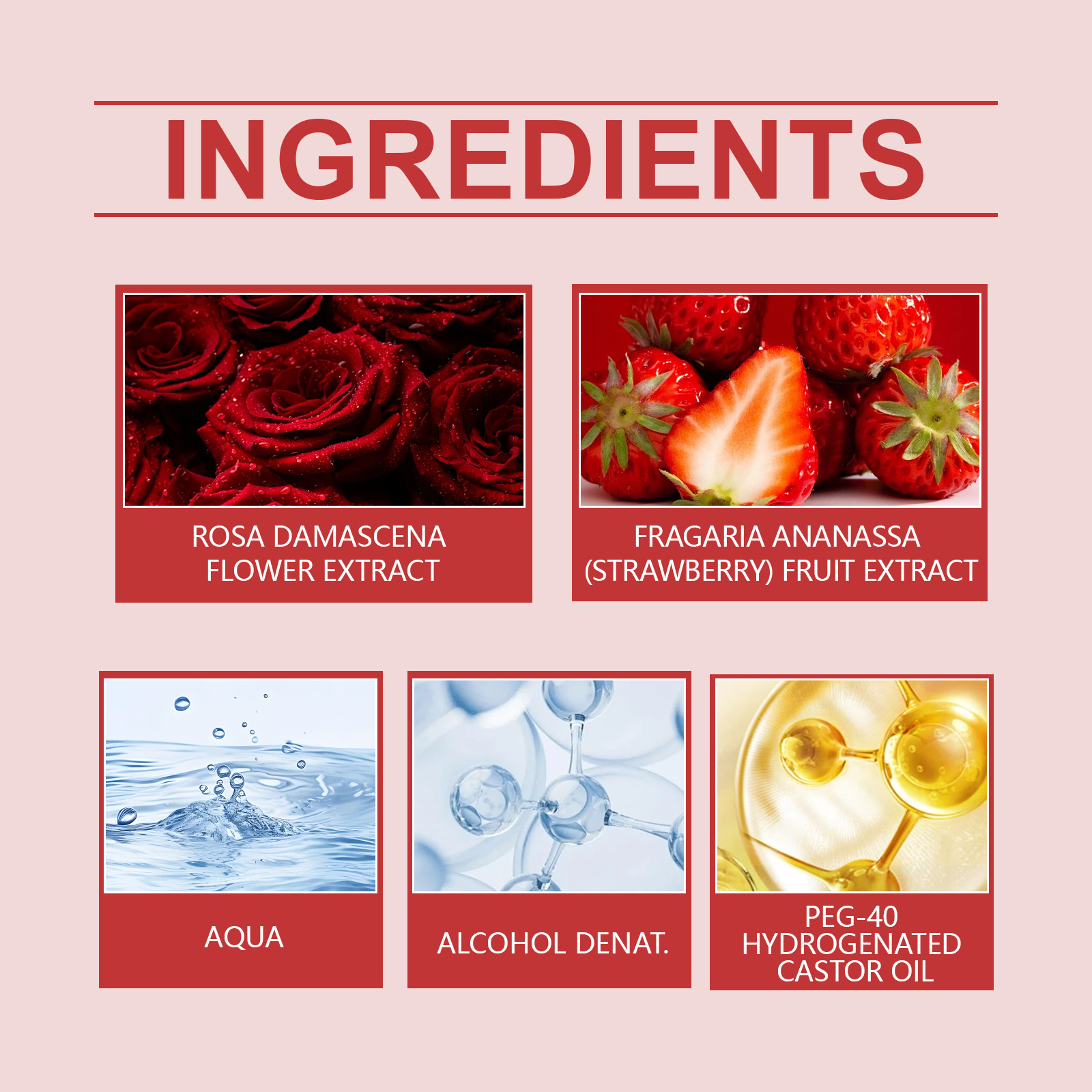 Roxelis Rose Lily Charm Perfum - Perfume Top Fragrance บทวิจารณ์และราคา